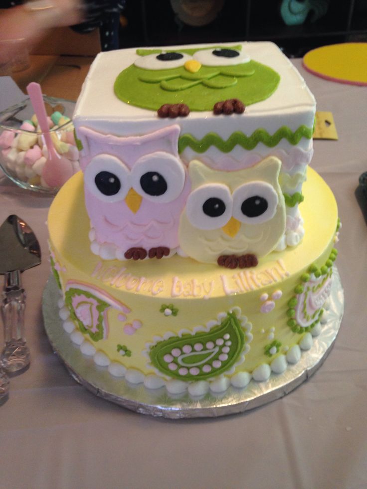 Girl Owl Baby Shower Cake