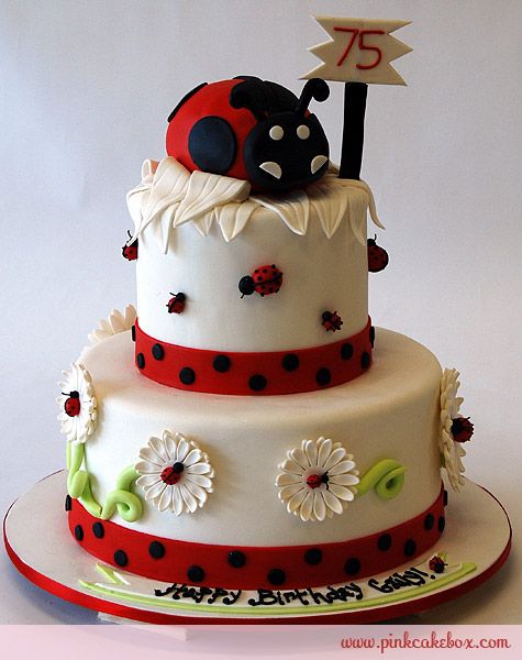 Ladybug Birthday Cake