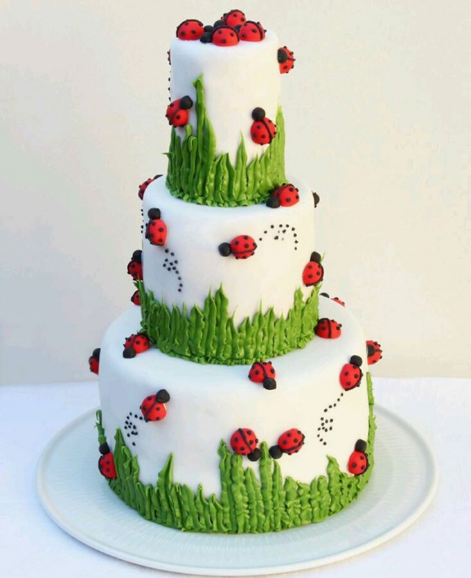 Ladybug Birthday Cake