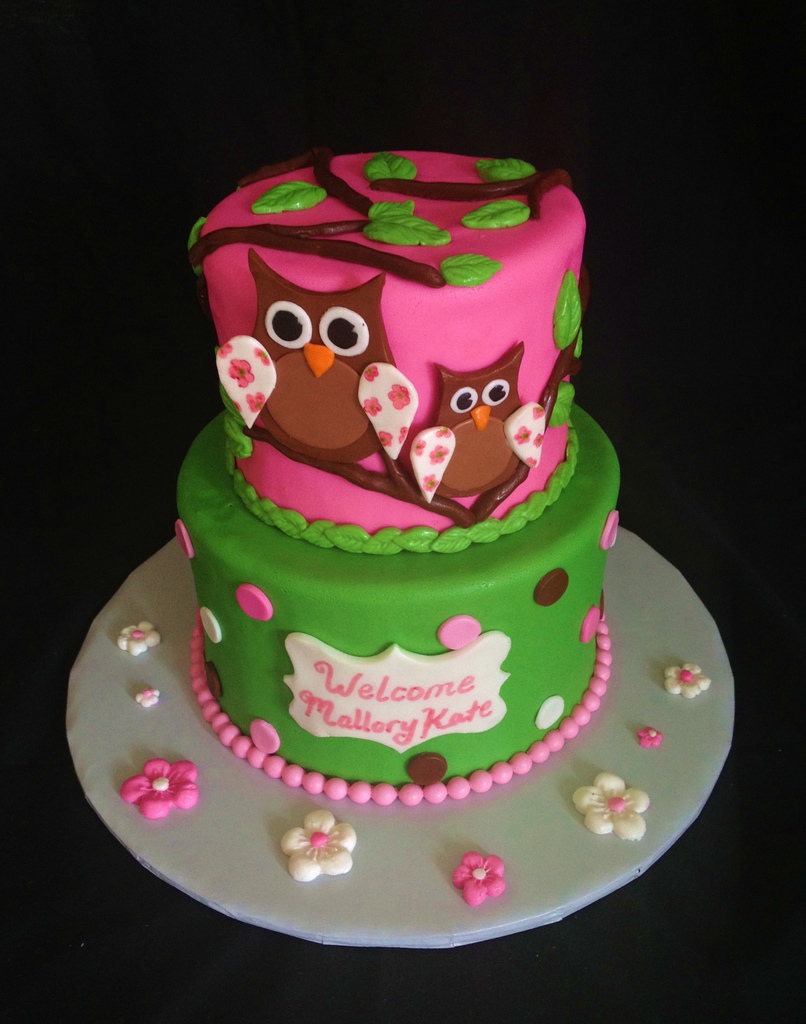 Owl Baby Shower Cake