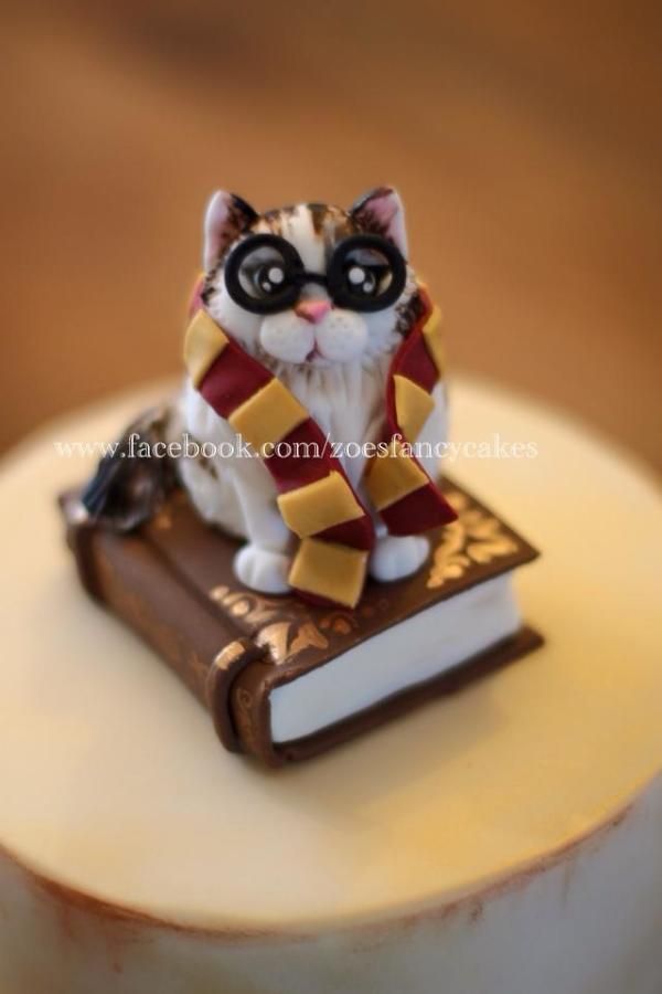 Harry Potter Birthday Cake