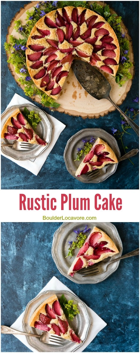 Rustic Plum Cake