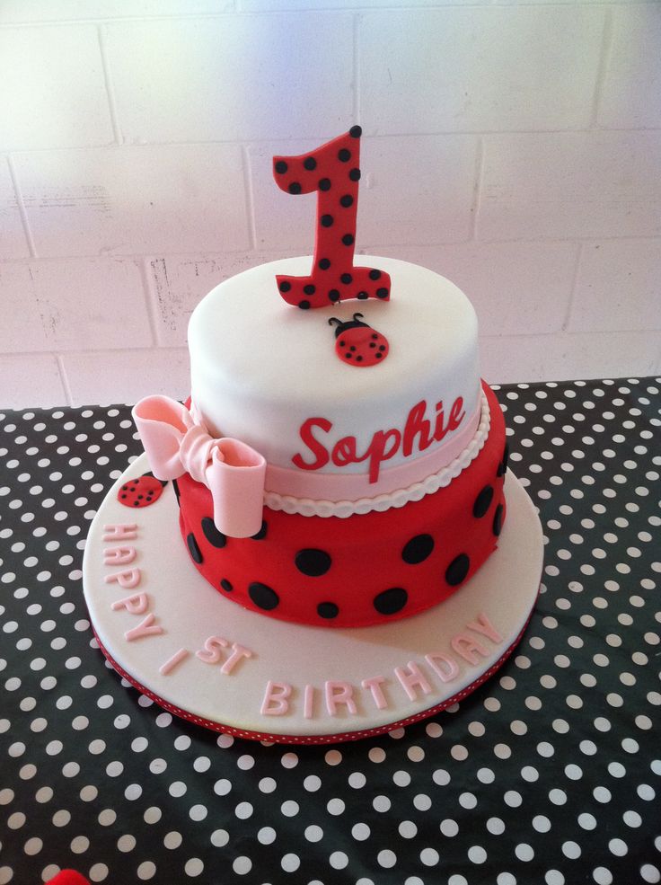 Ladybug First Birthday Cake Ideas