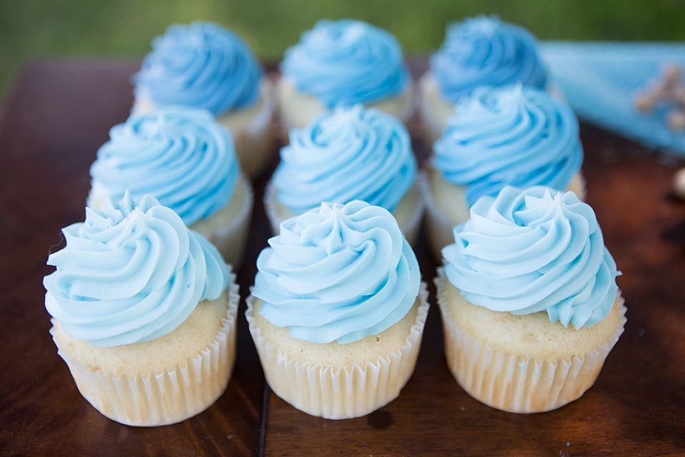 Light Blue Birthday Cake and Cupcakes