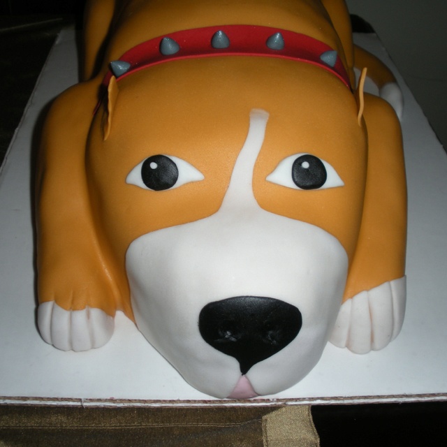 Pitbull Cake