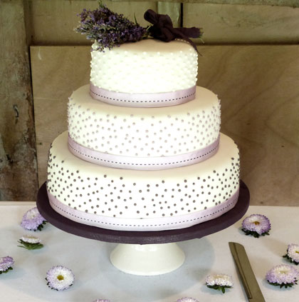 7 Photos of Wilson Wedding Cakes