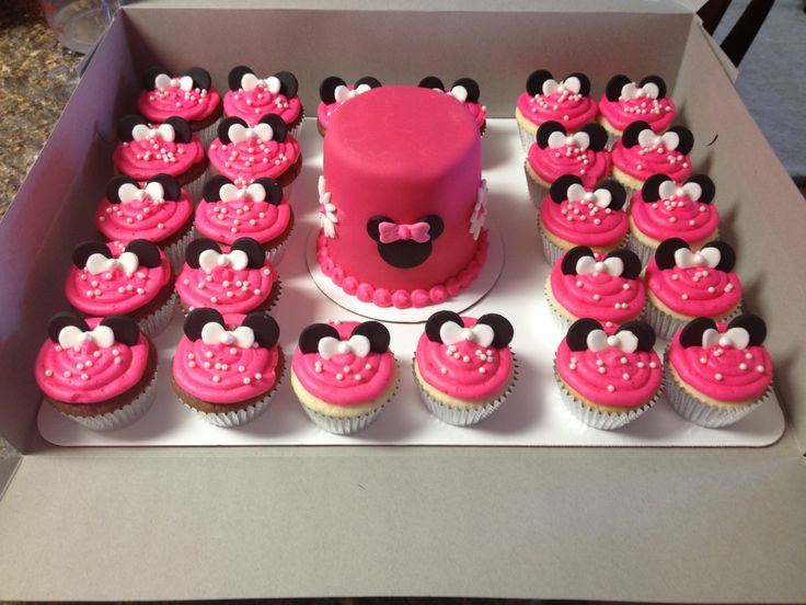 Minnie Mouse Smash Cake and Cupcakes