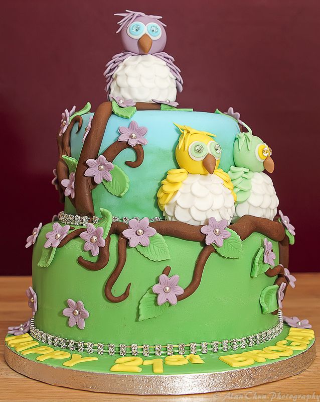 Owl Cake with Fondant