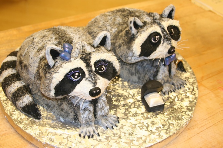 Raccoon Birthday Cake