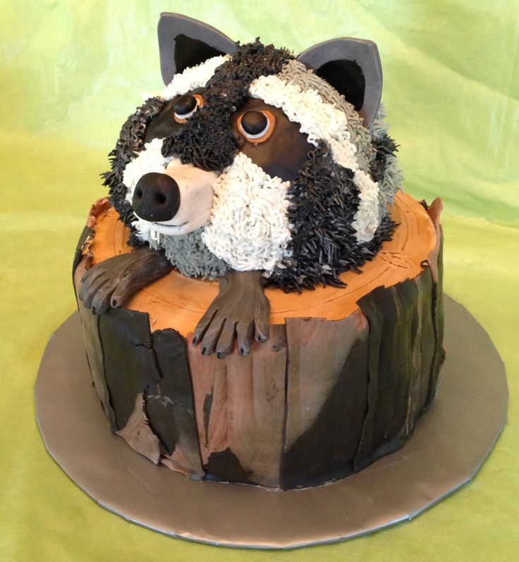 Raccoon Birthday Cake