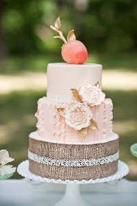 10 Photos of Peach Colored Wedding Cakes Rustic